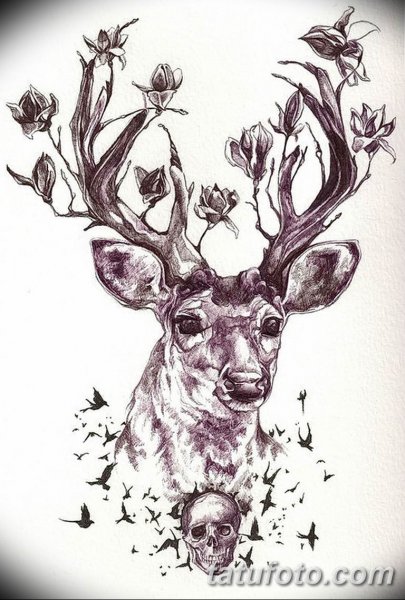 Олень эскиз