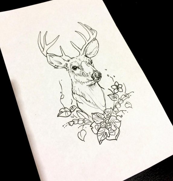 Олень рисунок эскиз