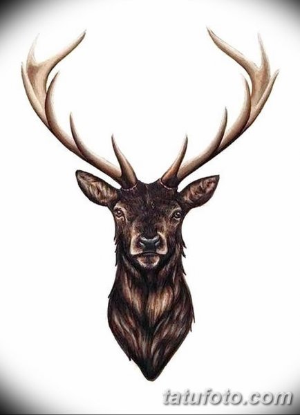 Олень эскиз