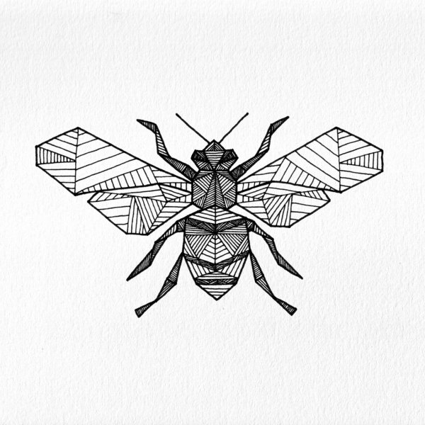 Симметрия в графике