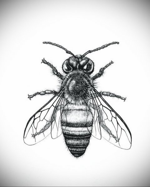 Пчела в графике