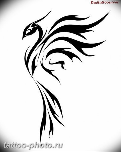 Феникс трайбл эскиз