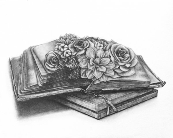 Книжные зарисовки