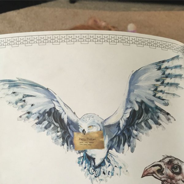 Сова Гарри Поттер эскиз
