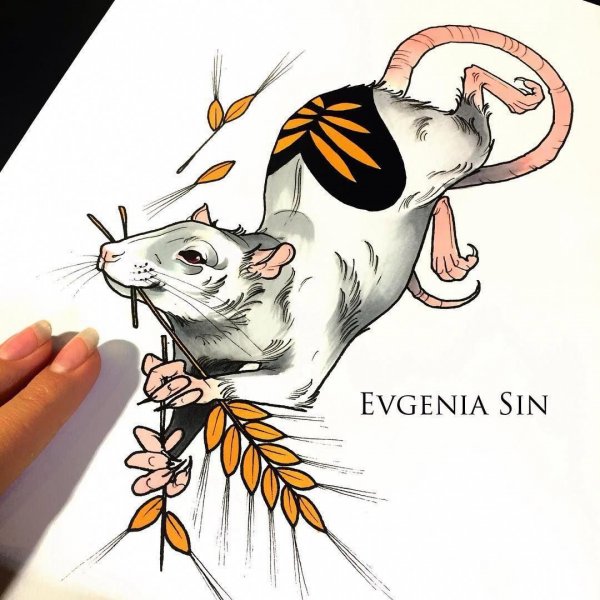 Тату крыса эскиз