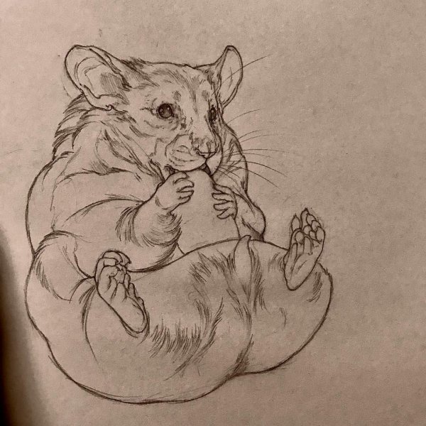 Крыса Татуировка эскиз