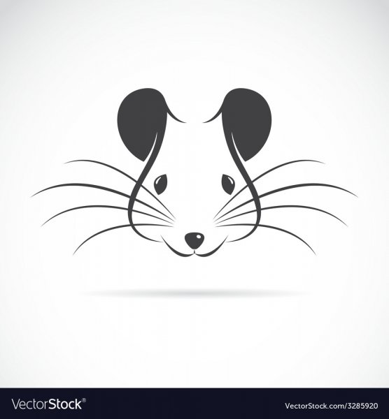 Стилизованная мордочка мышки для а