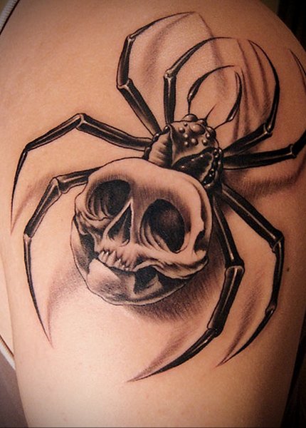 Тату паук с черепом