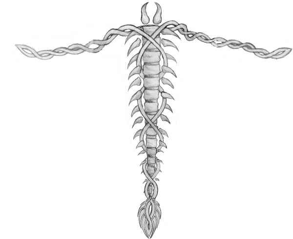 Эскиз тату на позвоночник