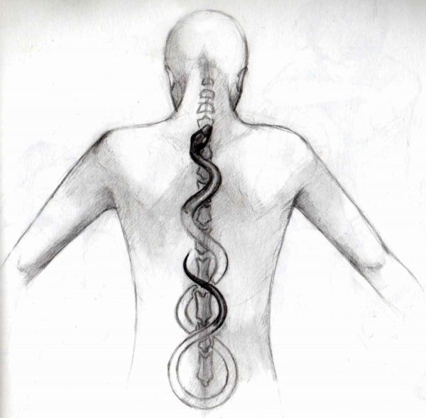 Эскиз тату на позвоночник