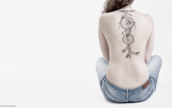 Грудина и таз скелет