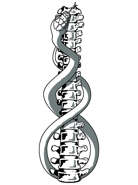 Татуировка вдоль позвоночника