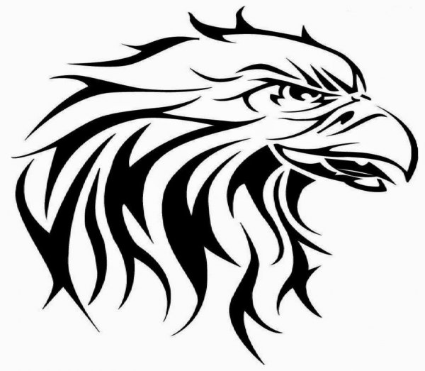 Голова орла трайбл