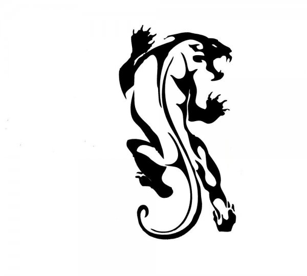 Пантера тату Графика