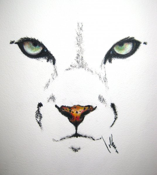 Силуэт кошачьей морды