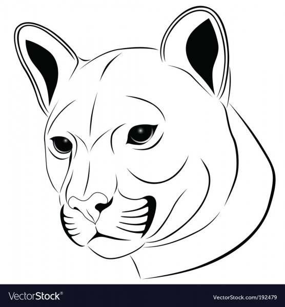 Пантера узор