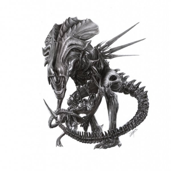 Чужой Ксеноморф скетч