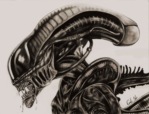 Чужой тату эскизы