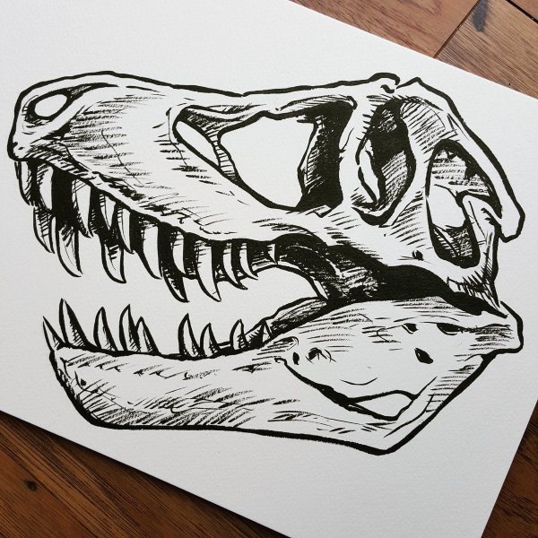 Динозавр Тирекс набросок