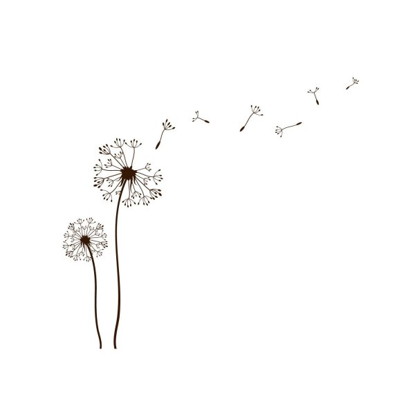 Одуванчик Минимализм