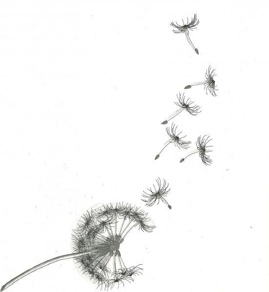 Тату на белом фоне одуванчик