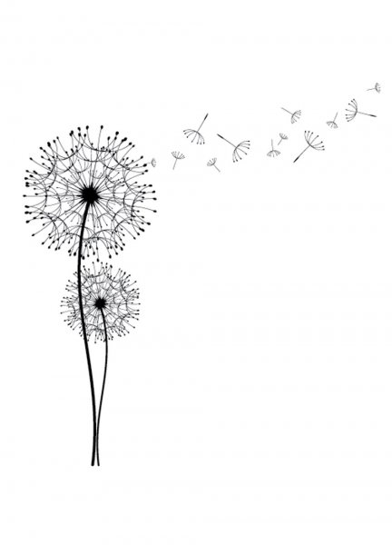 Одуванчик орнамент