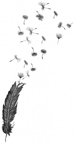 Одуванчик эскиз