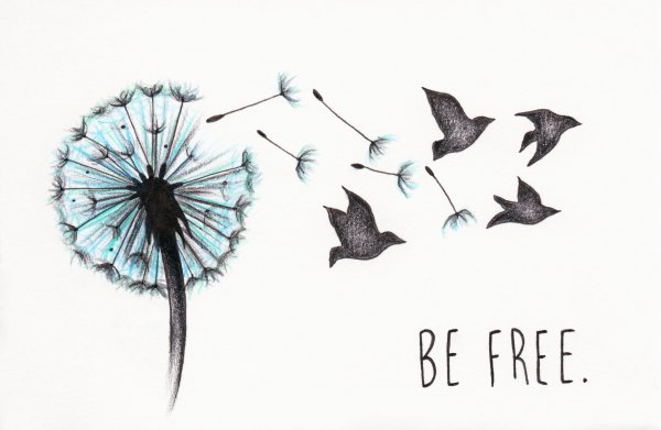 Эскиз одуванчик с птичками