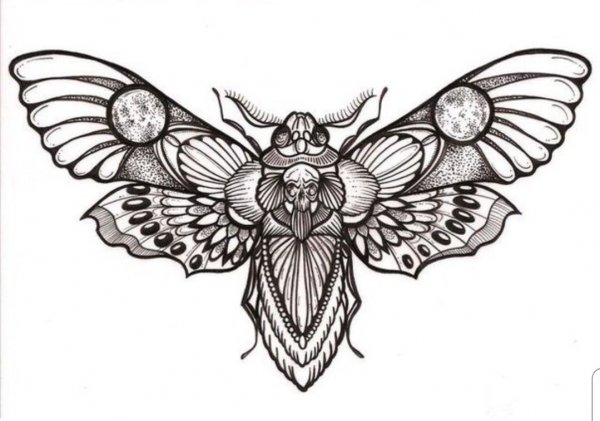 Мотылек эскиз тату