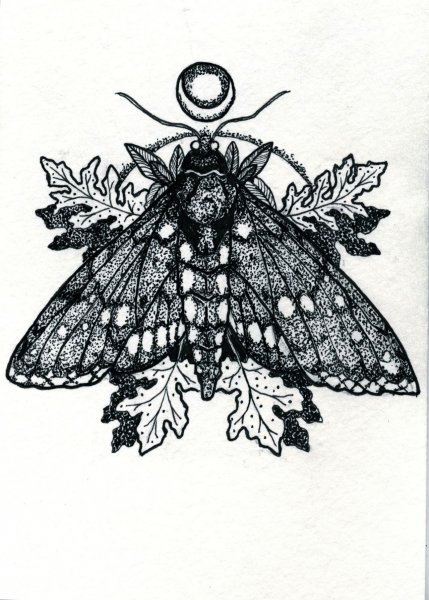 Моль эскиз