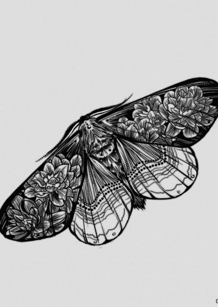 Эскизы мотыльков тату