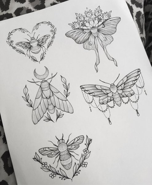 Эскизы мотыльков тату
