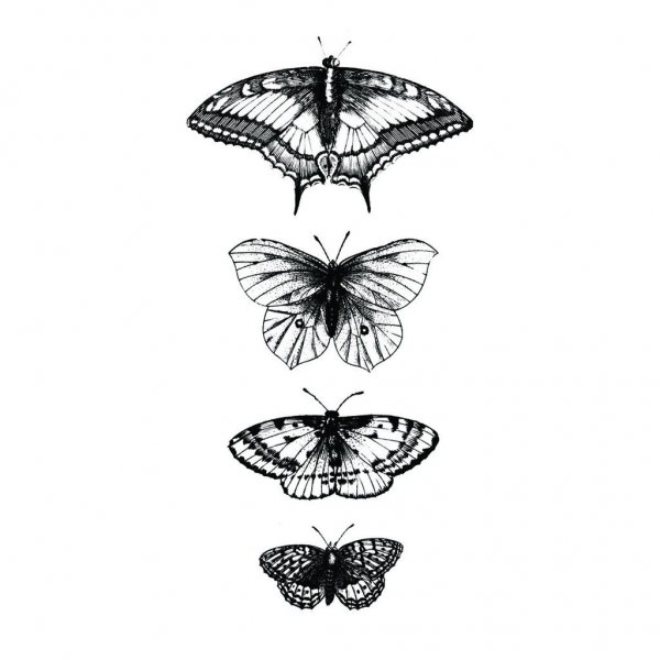 Мотылек эскиз