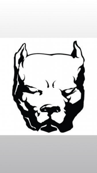 Эскизы питбуля