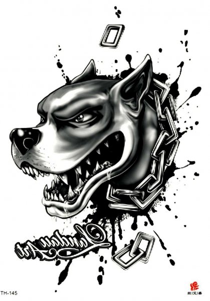 Питбуль Графика