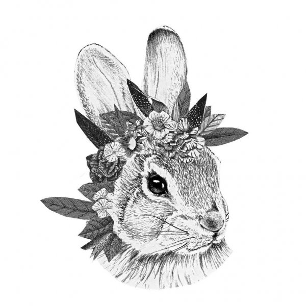 Графический кролик