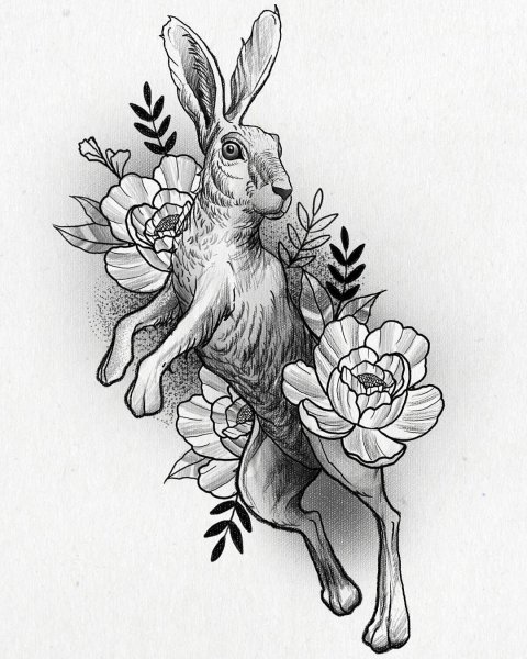 Кролик в графике