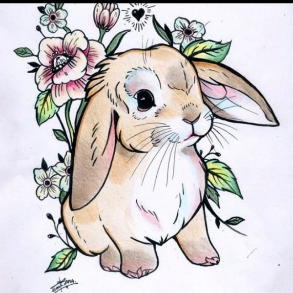 Рисунки для срисовки зайчики