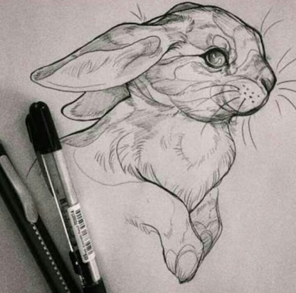 Необычные рисунки карандашом