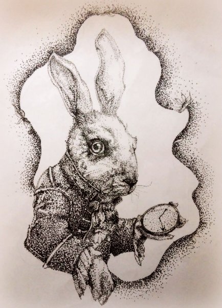 Заяц гравюра