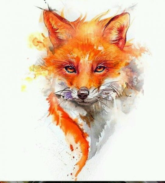 Лисенок рисунок акварелью