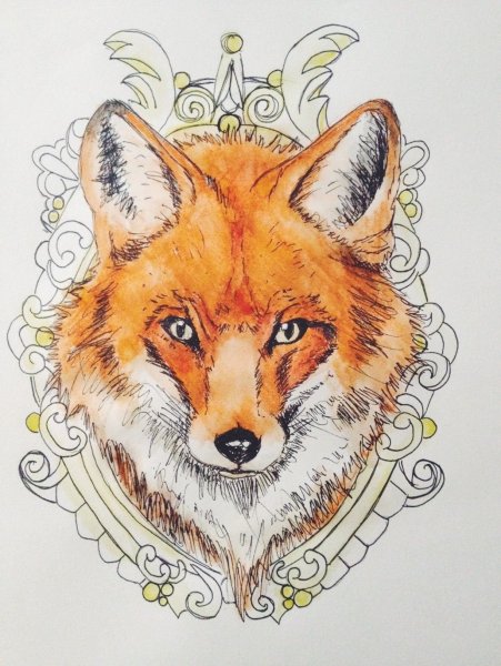 Эскиз лисы