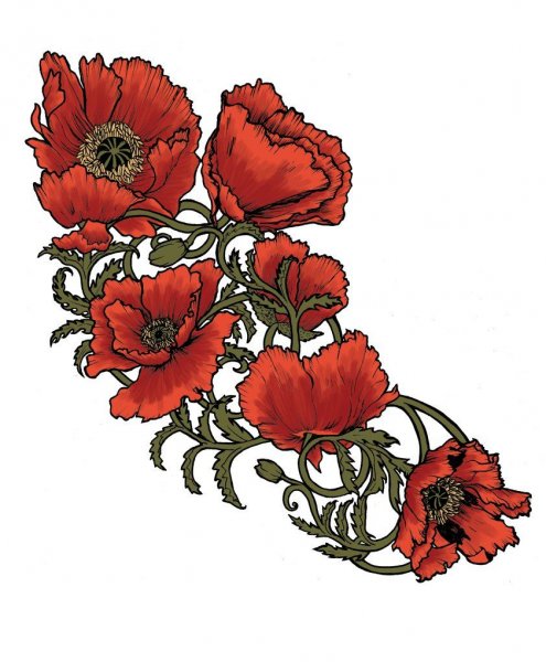 Стилизованные маки