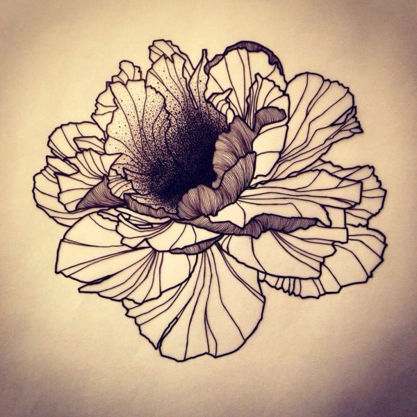 Гибискус dotwork