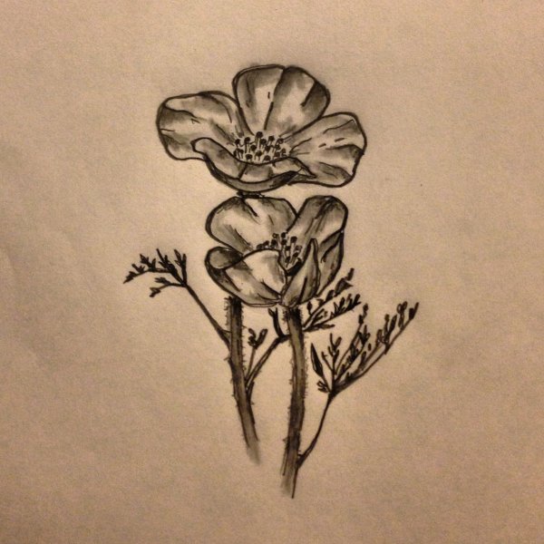 Маки тату чб
