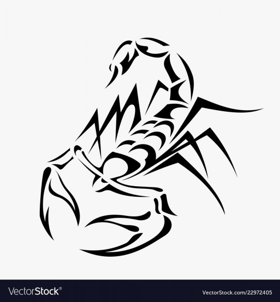 Эскиз тату Скорпион с узором