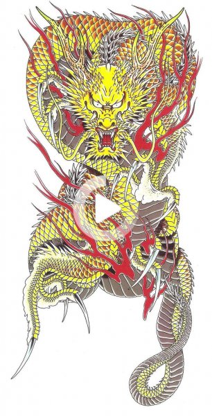 Ирэдзуми дракон