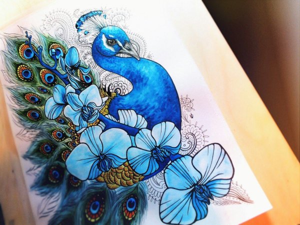 Павлины Графика