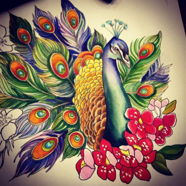 Тату перо павлина эскиз