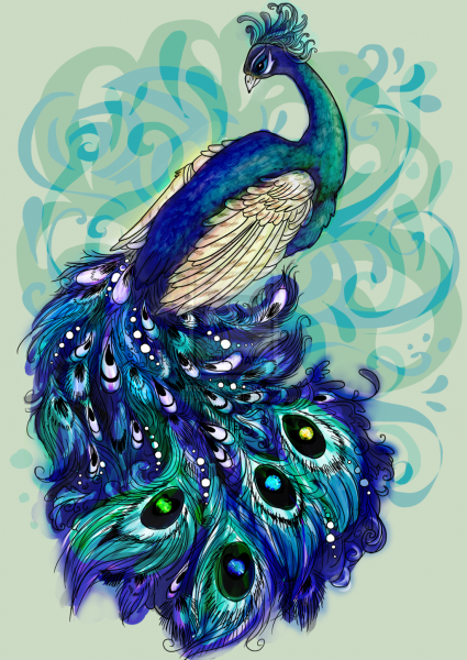 Зентангл Павлин